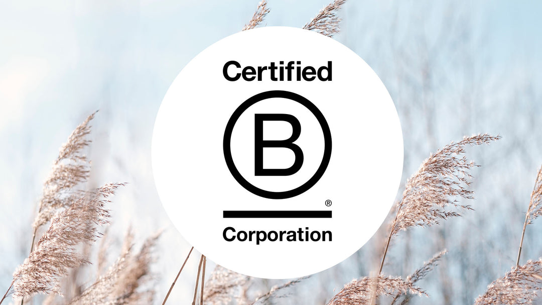 b corp certified makeup products