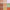 Express Yourself Conceal and Correct Palette
