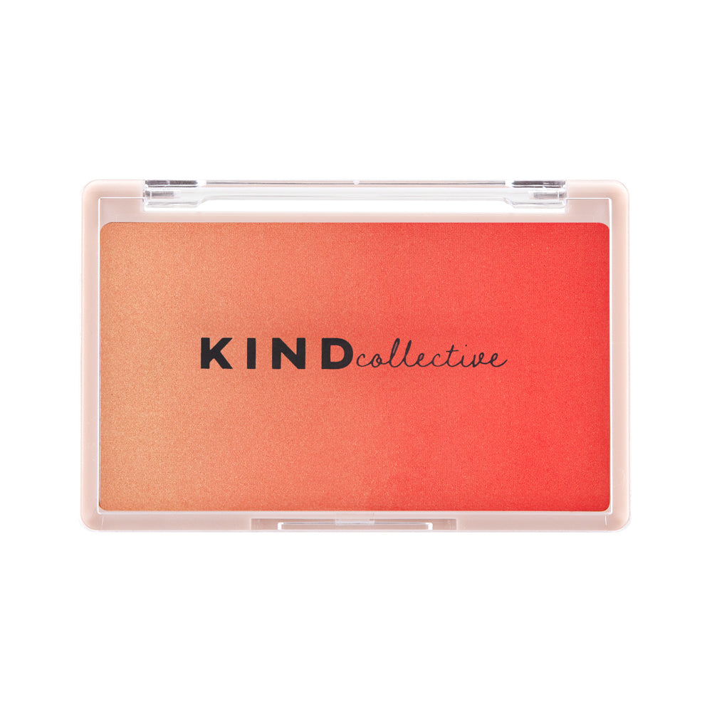 Cloud Skin Blush Powder